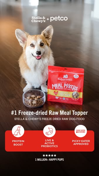 Stella & Chewy's image ad, running 491 days