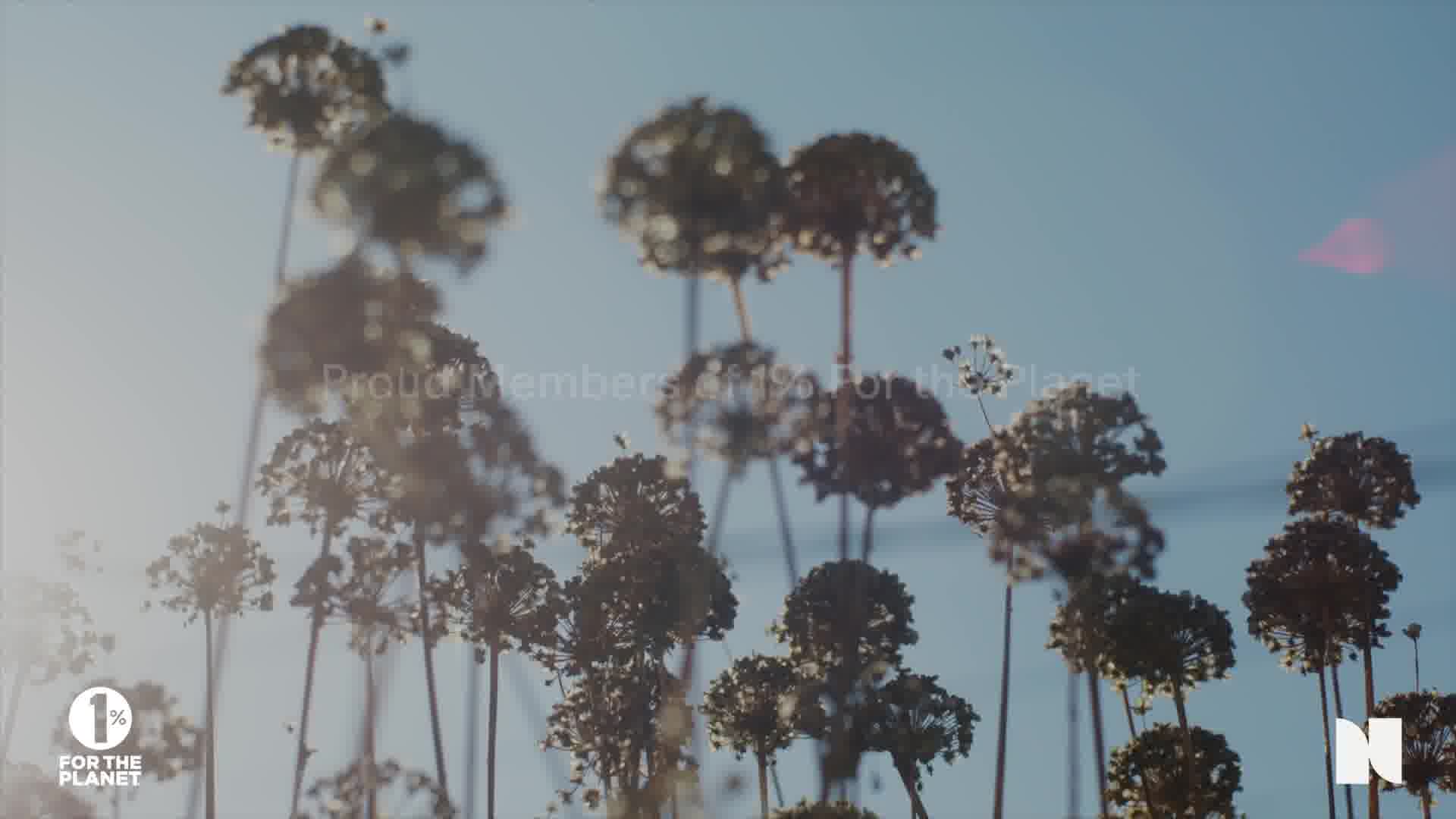 Needed. video ad, running 407 days