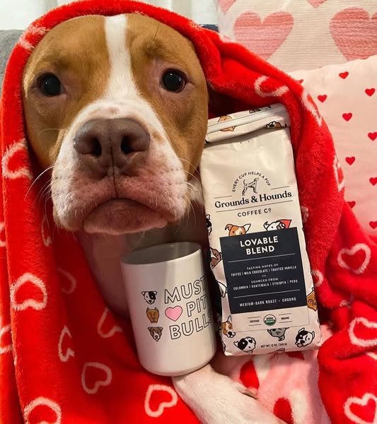 Grounds & Hounds Coffee Co. image ad, running 524 days